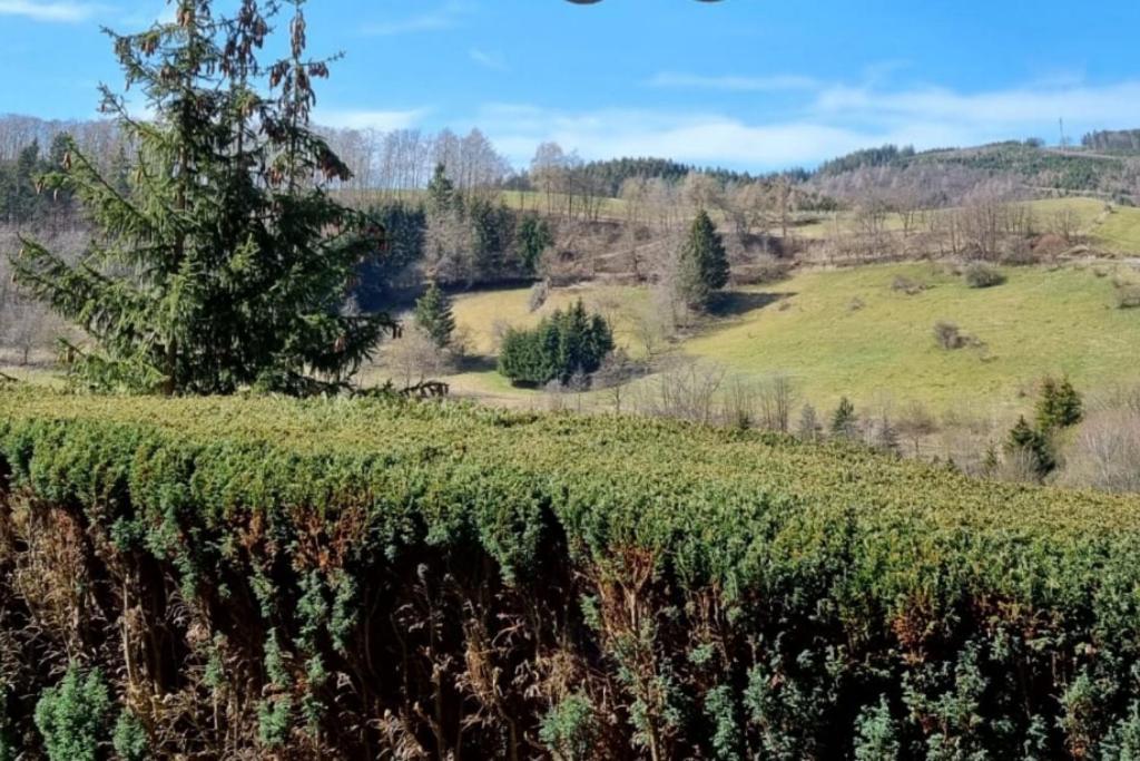Ferienwohnung Aartalblick Willingen Willingen  Exterior foto